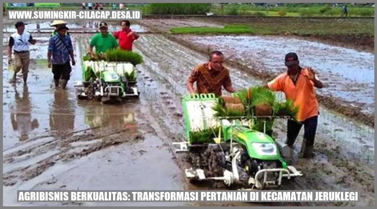 Agribisnis Berkualitas: Transformasi Pertanian di Kecamatan Jeruklegi