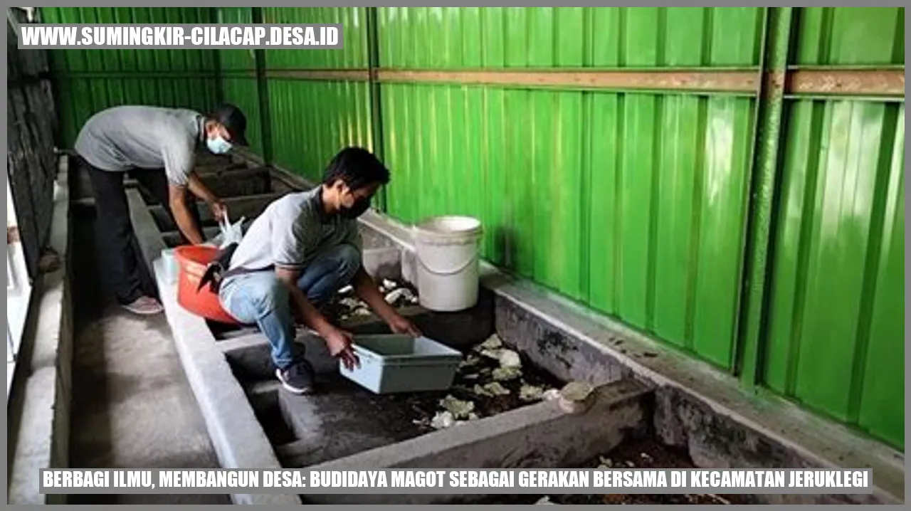 Budidaya Magot