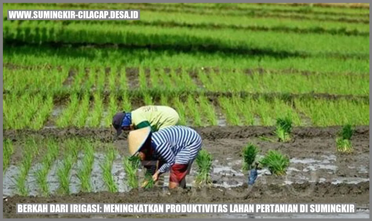 Gambar irigasi di lahan pertanian