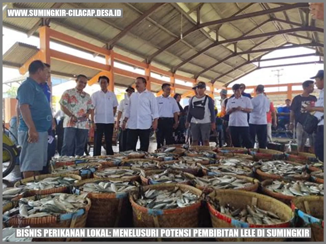 Gambar Pembibitan Lele di Sumingkir