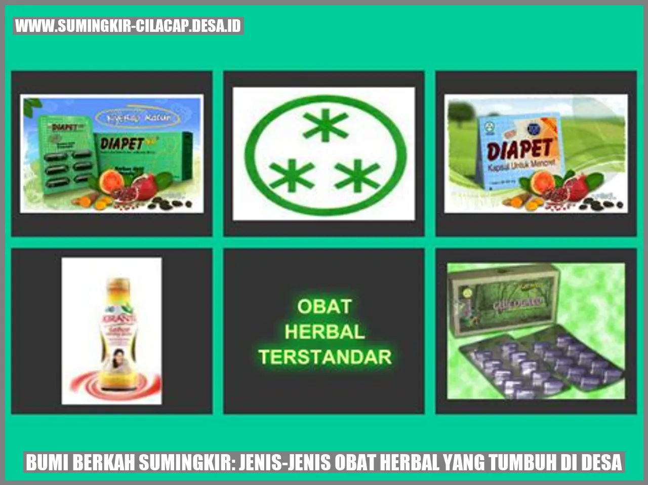 Bumi Berkah Sumingkir: Jenis-jenis Obat Herbal yang Tumbuh di Desa