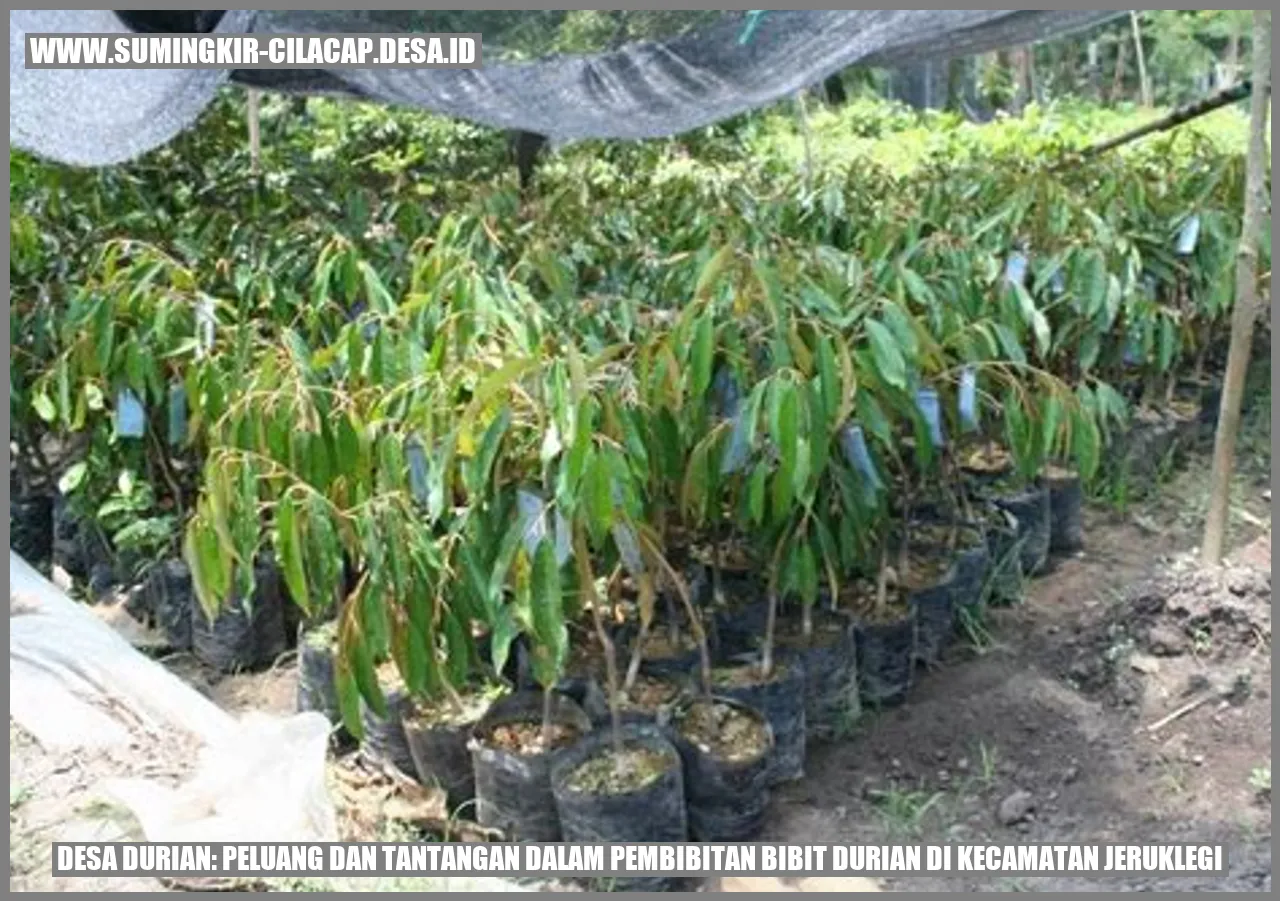 Desa Durian: Peluang dan Tantangan dalam Pembibitan Bibit Durian di Kecamatan Jeruklegi