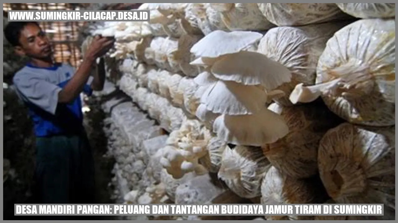 Desa Mandiri Pangan: Peluang dan Tantangan Budidaya Jamur Tiram di Sumingkir