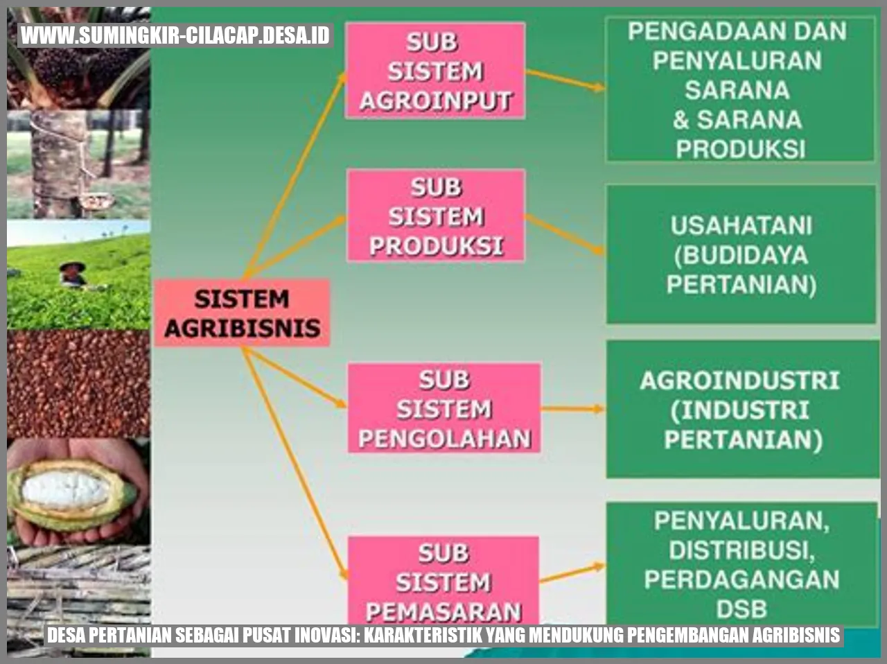 Desa Pertanian Sebagai Pusat Inovasi