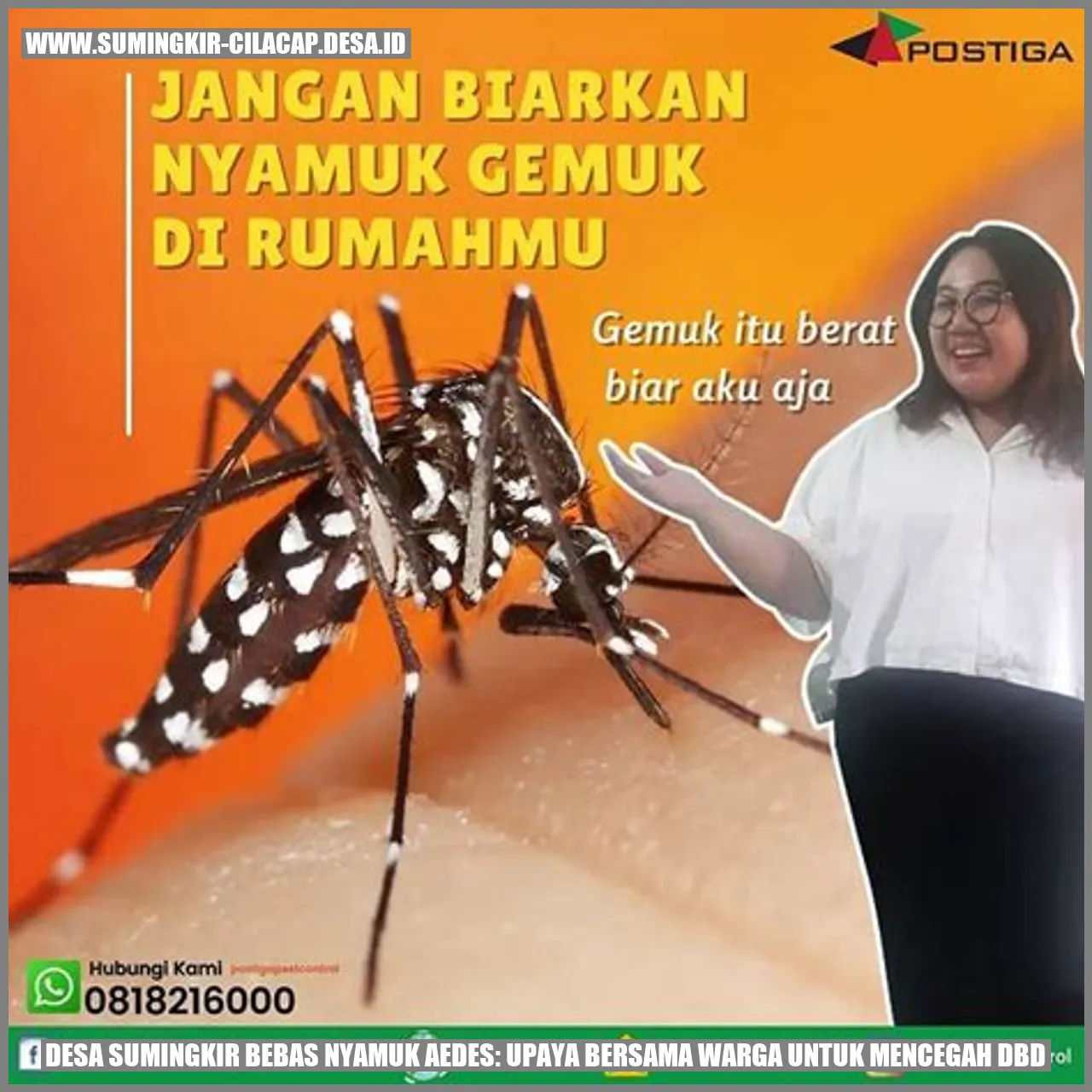 Desa Sumingkir Bebas Nyamuk Aedes: Upaya Bersama Warga untuk Mencegah DBD