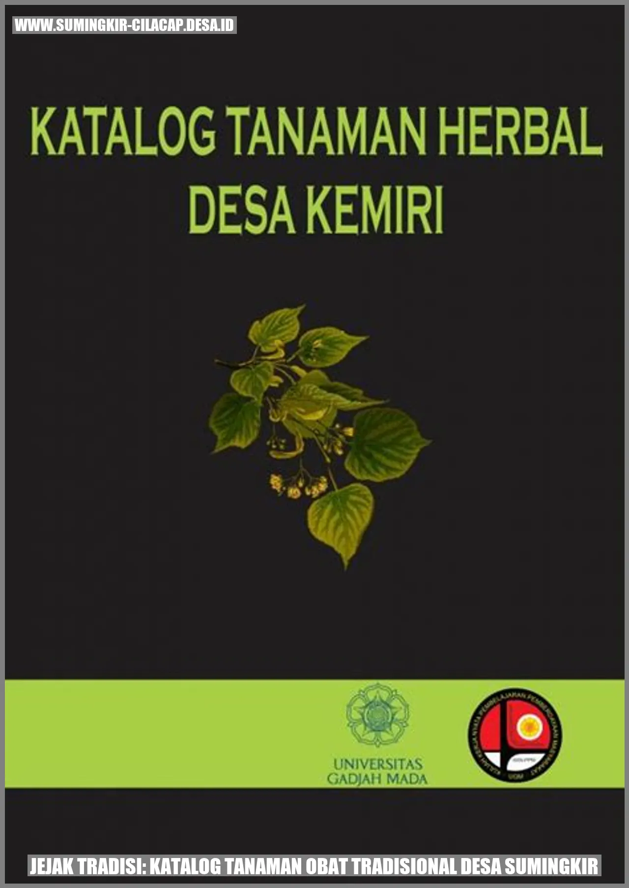 Jejak Tradisi: Katalog Tanaman Obat Tradisional Desa Sumingkir