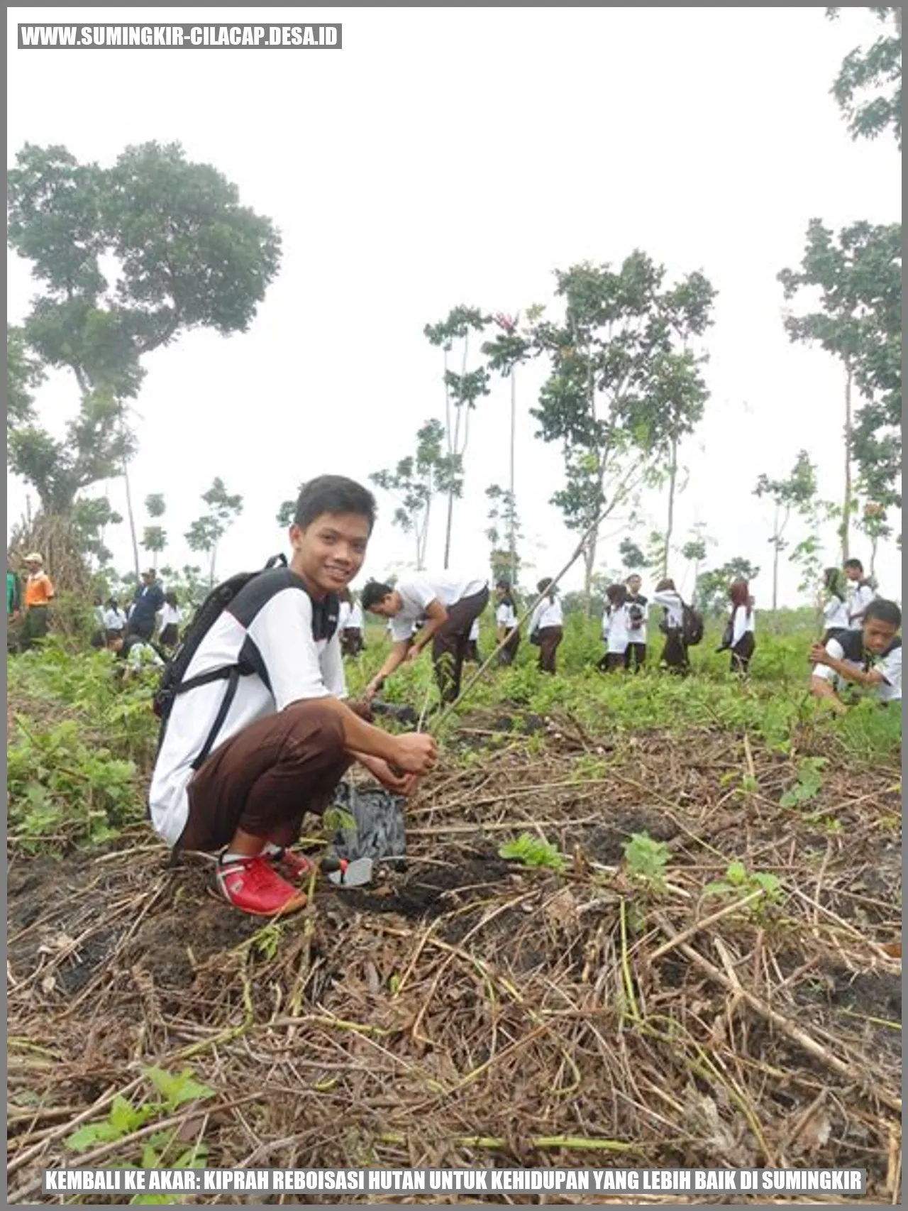 Reboisasi Hutan