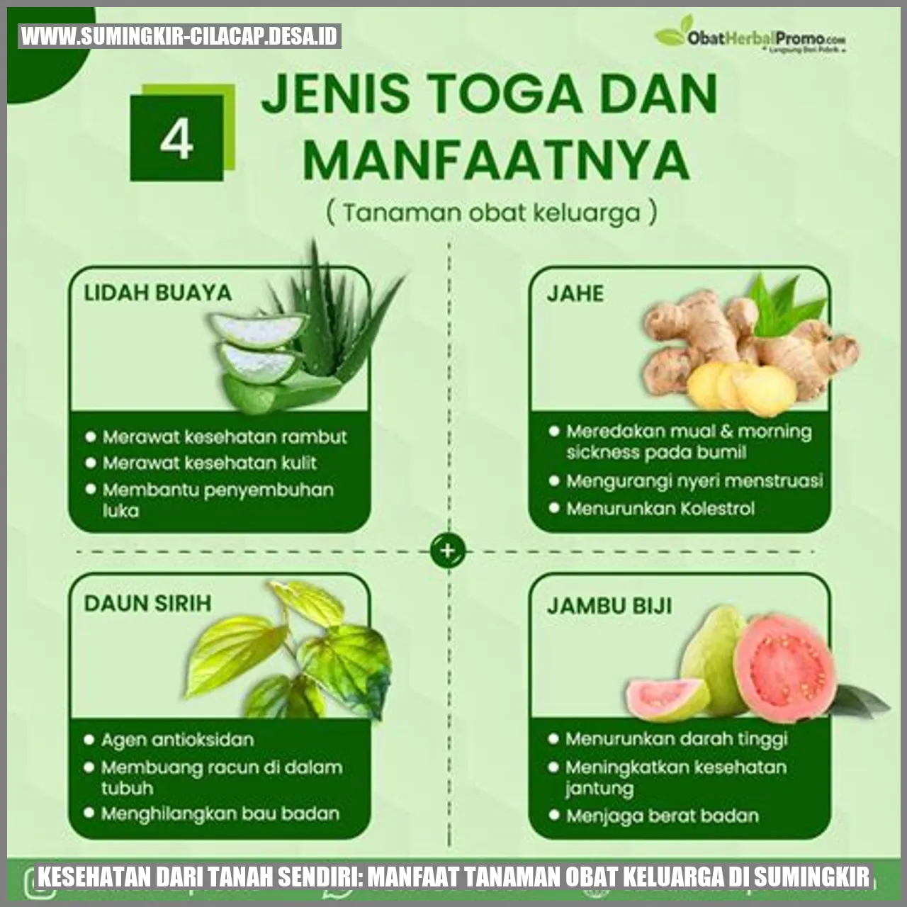 Tanaman Obat Keluarga