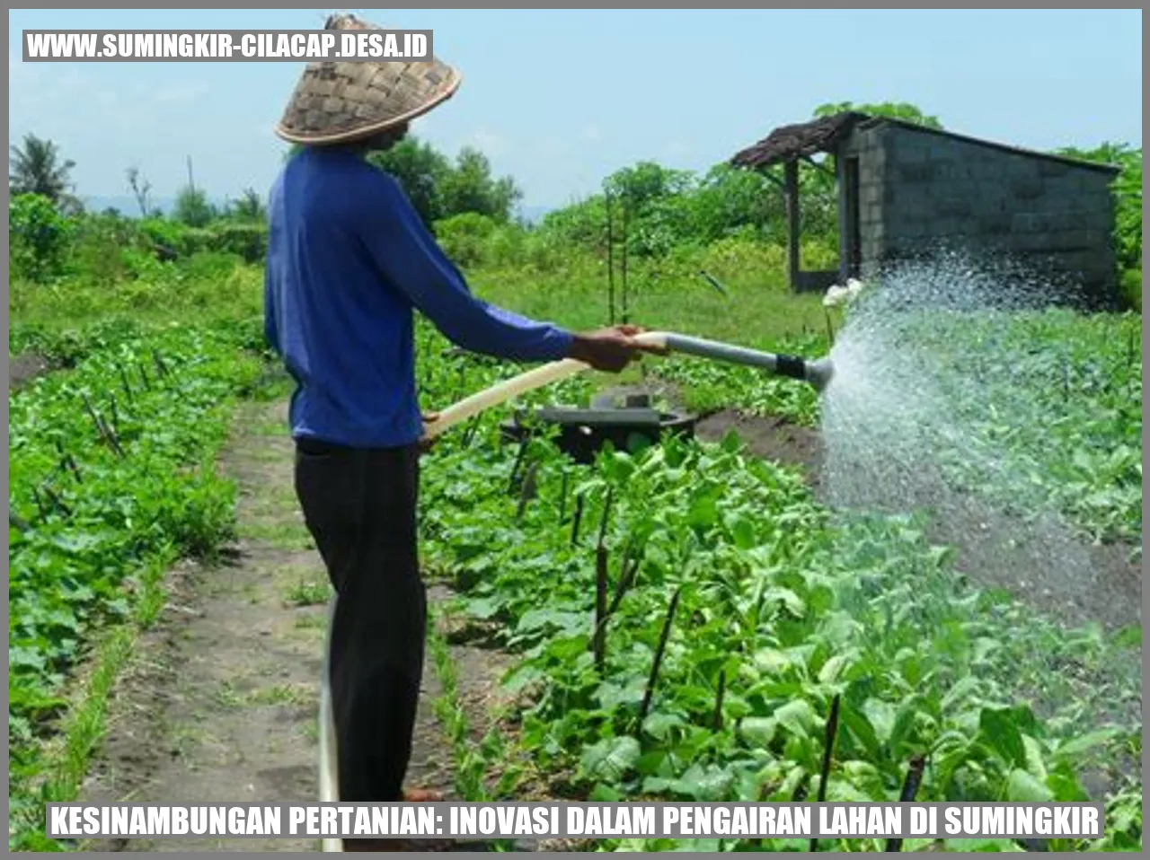 Kesinambungan Pertanian: Inovasi dalam Pengairan Lahan di Sumingkir