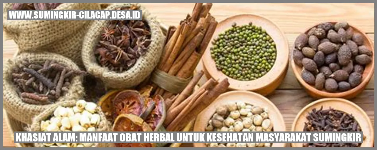 obat-herbal