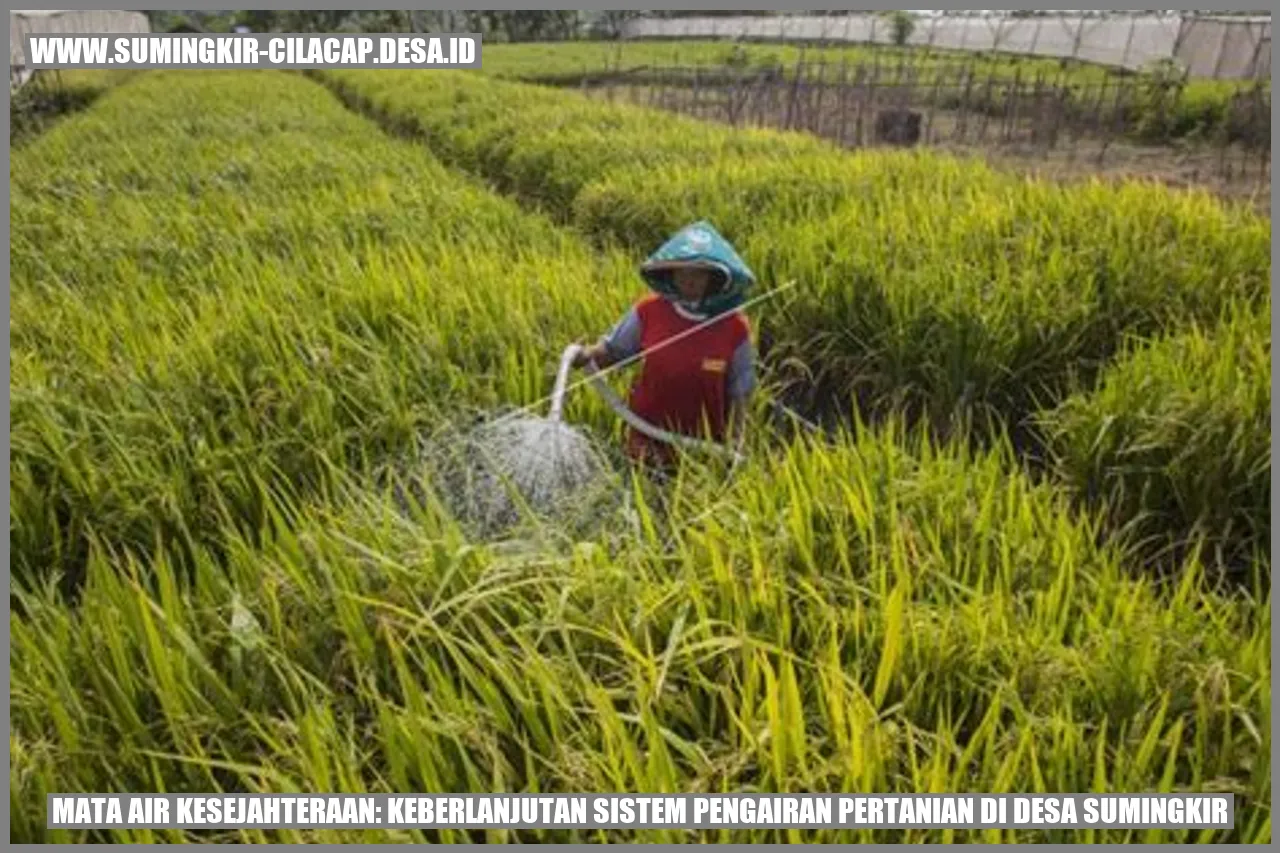 Mata Air Kesejahteraan: Keberlanjutan Sistem Pengairan Pertanian di Desa Sumingkir