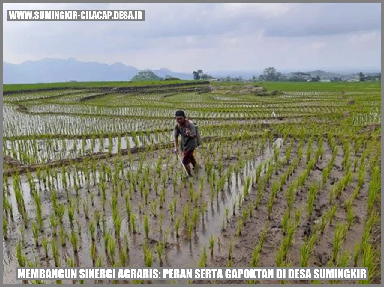 Sinergi Agraris