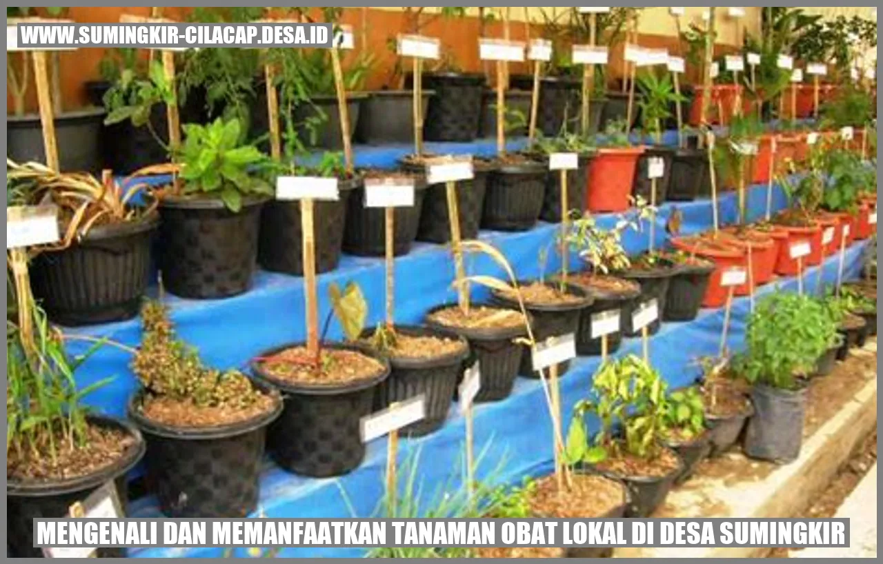 Tanaman obat lokal di Desa Sumingkir