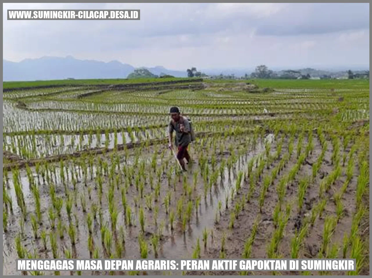 Gambar Gapoktan di Sumingkir