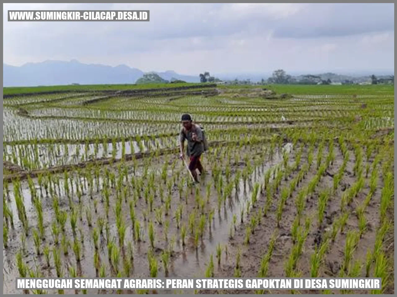 Gapoktan di Desa Sumingkir