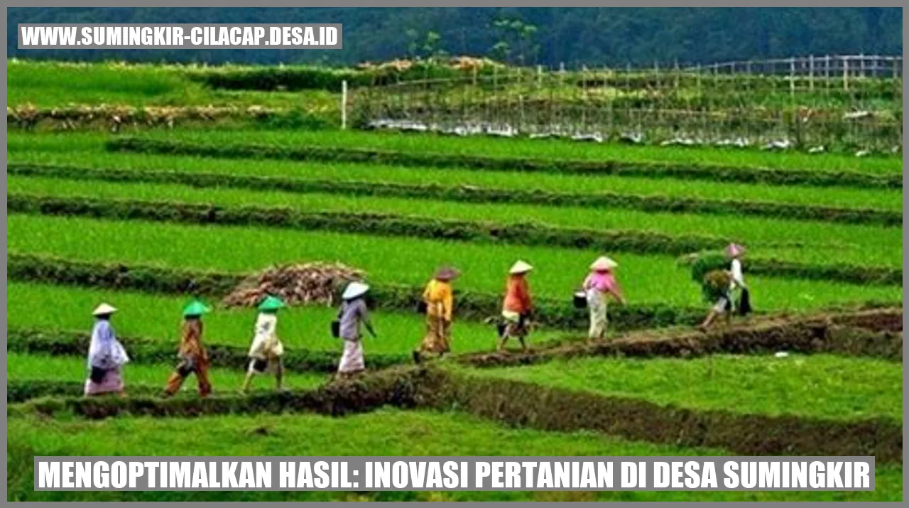 Mengoptimalkan Hasil: Inovasi Pertanian di Desa Sumingkir