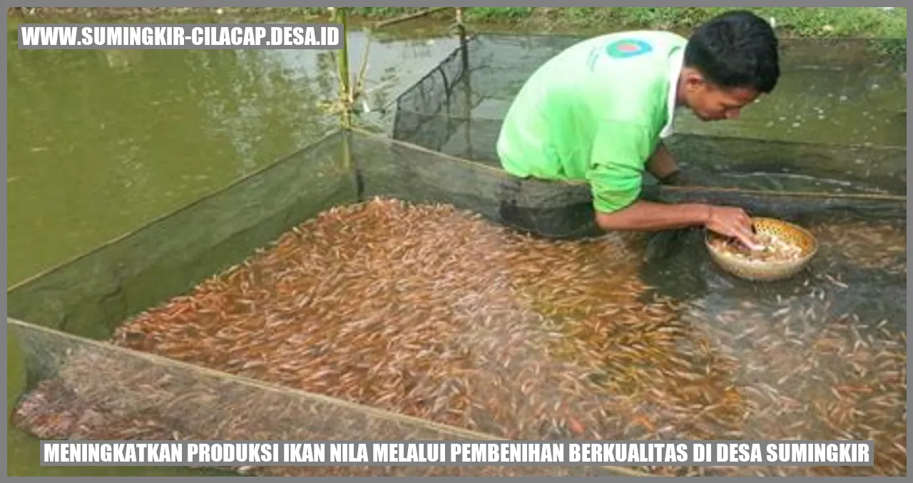 Meningkatkan Produksi Ikan Nila Melalui Pembenihan Berkualitas di Desa Sumingkir