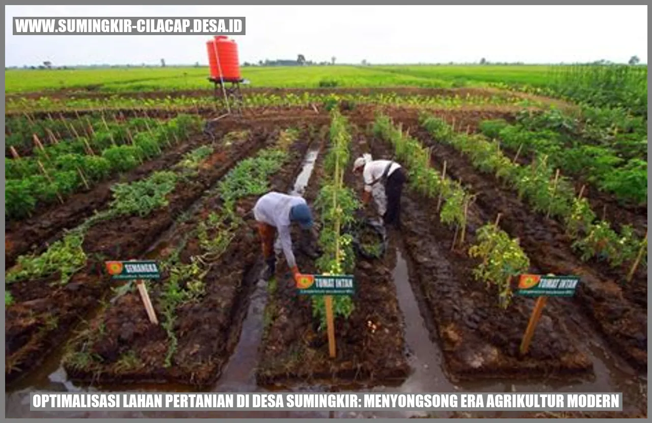 Optimalisasi Lahan Pertanian di Desa Sumingkir: Menyongsong Era Agrikultur Modern