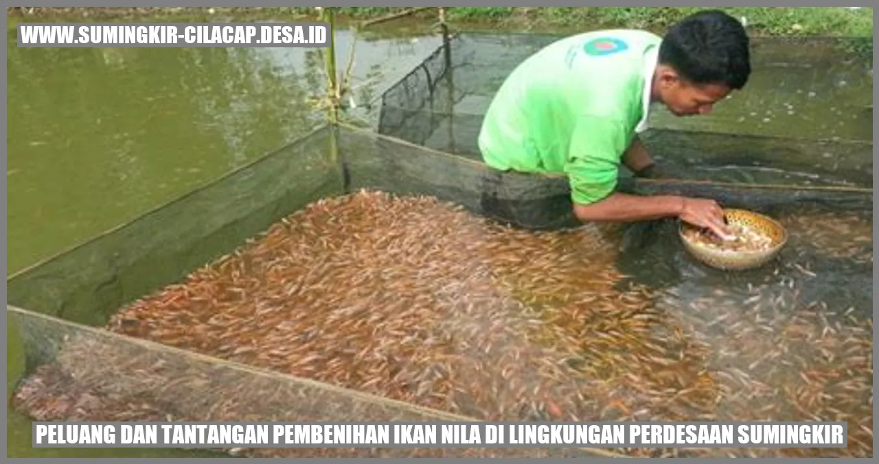 Peluang dan Tantangan Pembenihan Ikan Nila di Lingkungan Perdesaan Sumingkir