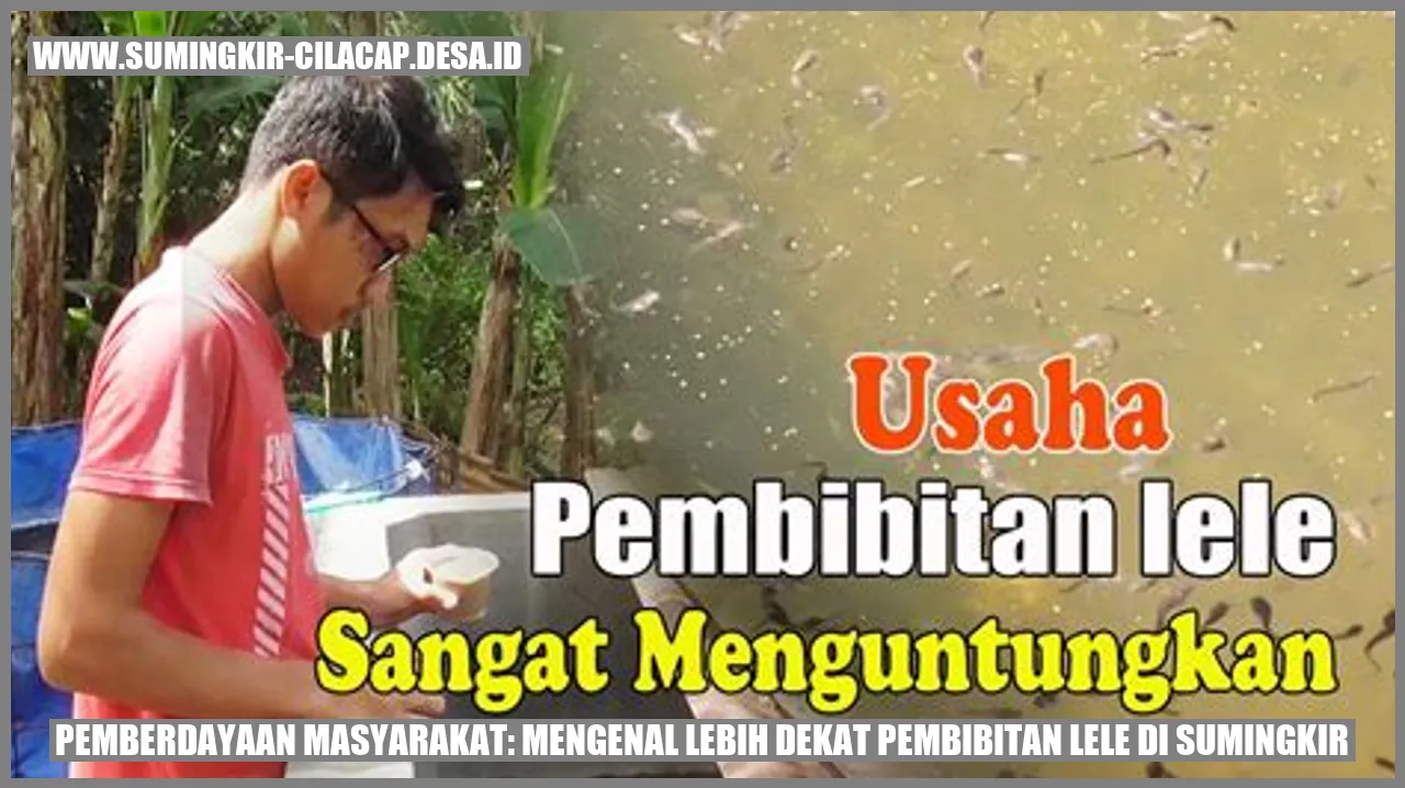 Pemberdayaan Masyarakat: Mengenal Lebih Dekat Pembibitan Lele di Sumingkir
