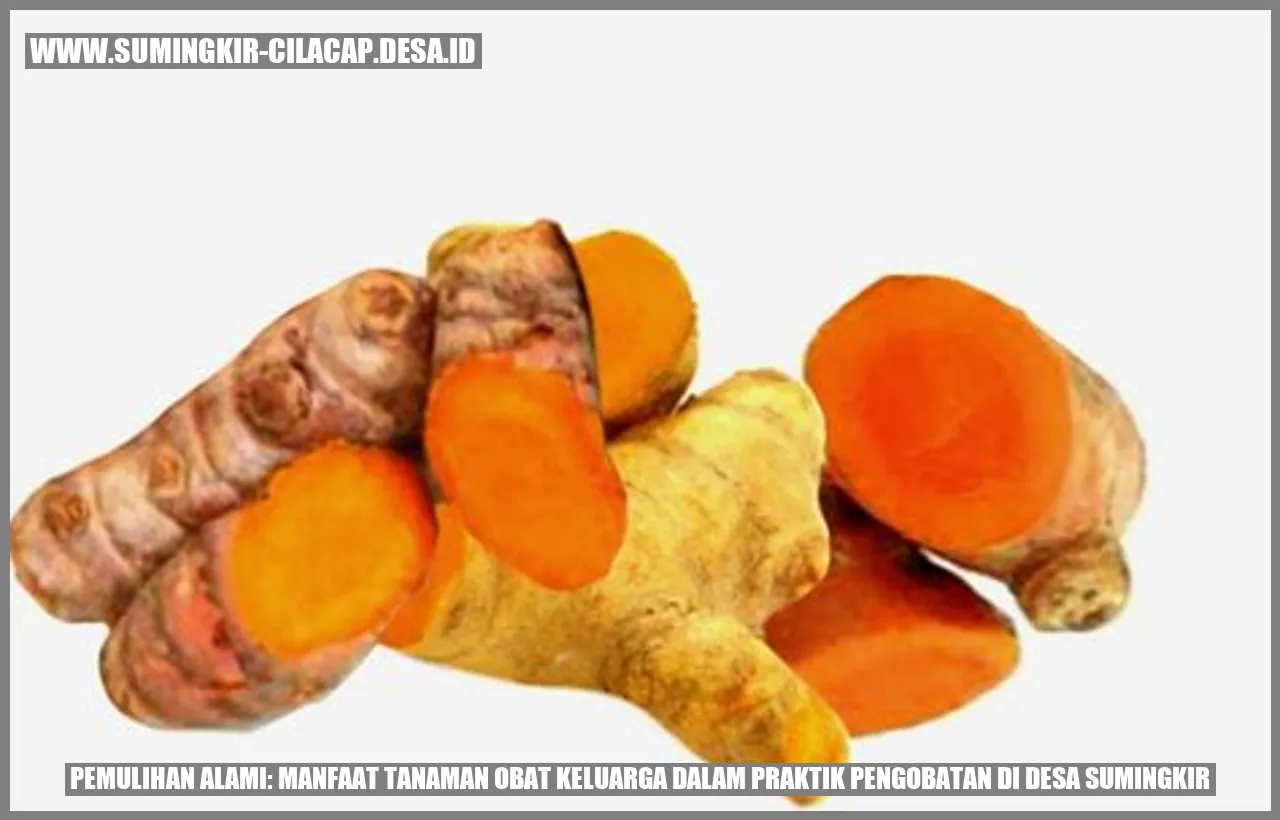 Pemulihan Alami: Manfaat Tanaman Obat Keluarga dalam Praktik Pengobatan di Desa Sumingkir
