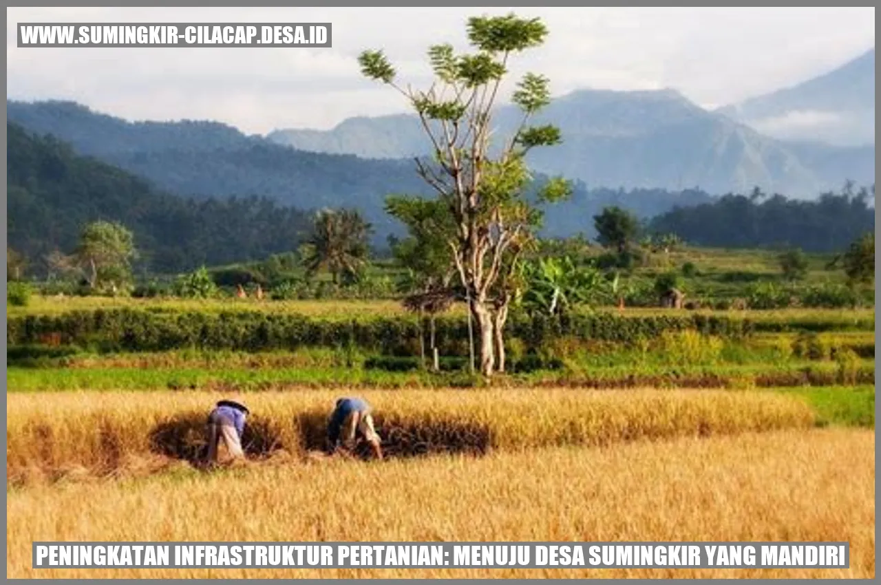 Peningkatan Infrastruktur Pertanian: Menuju Desa Sumingkir yang Mandiri