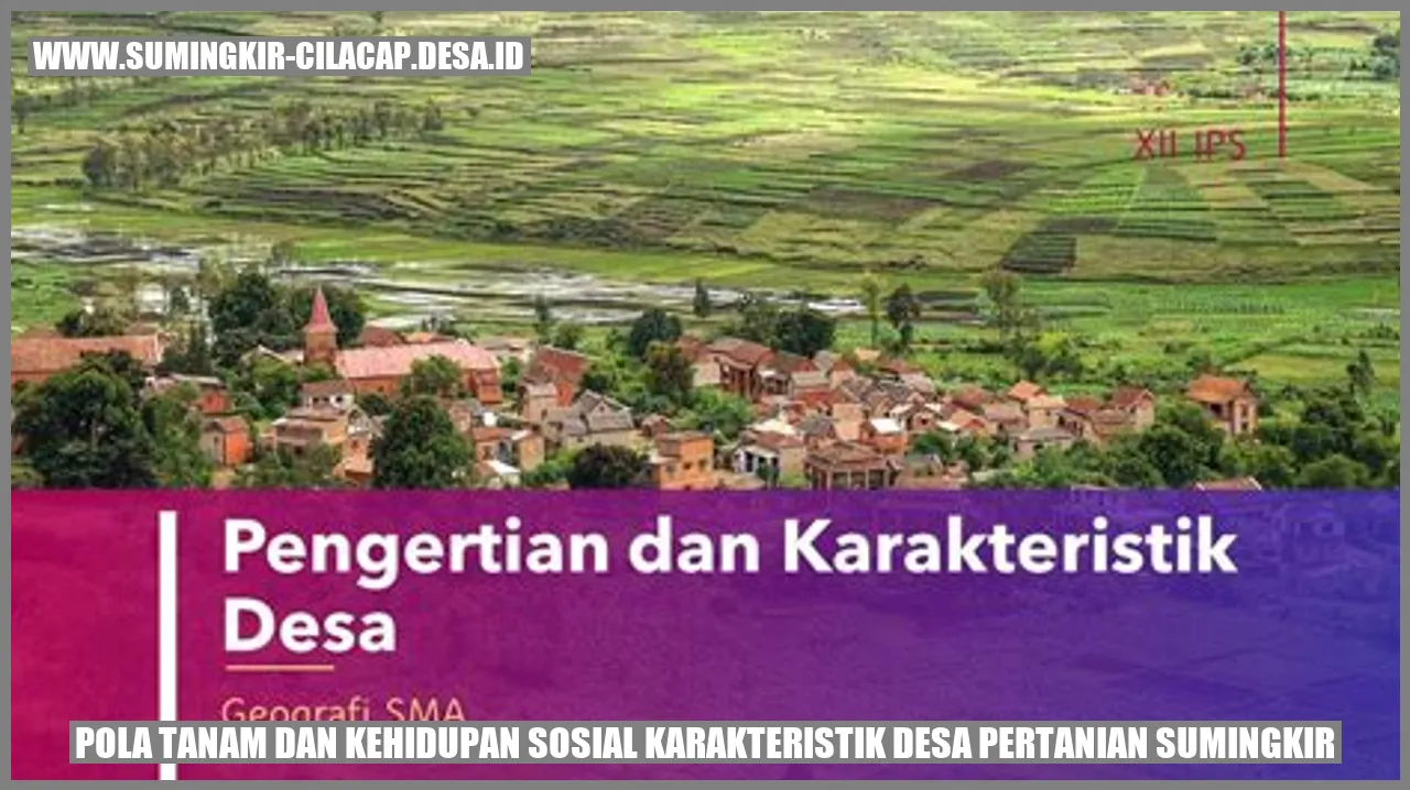 Pertanian Sumingkir: Pola Tanam dan Kehidupan Sosial