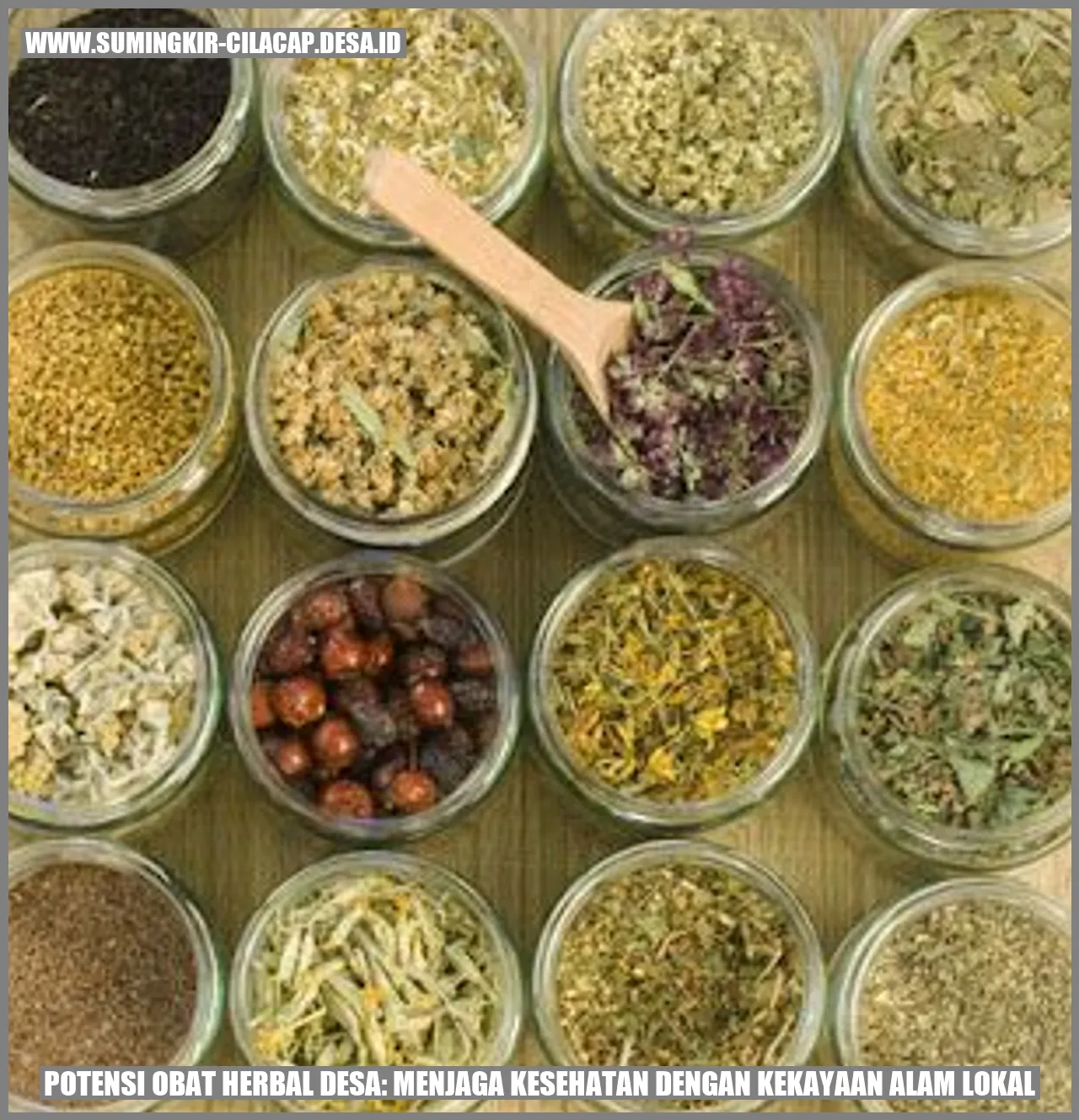 Potensi Obat Herbal Desa