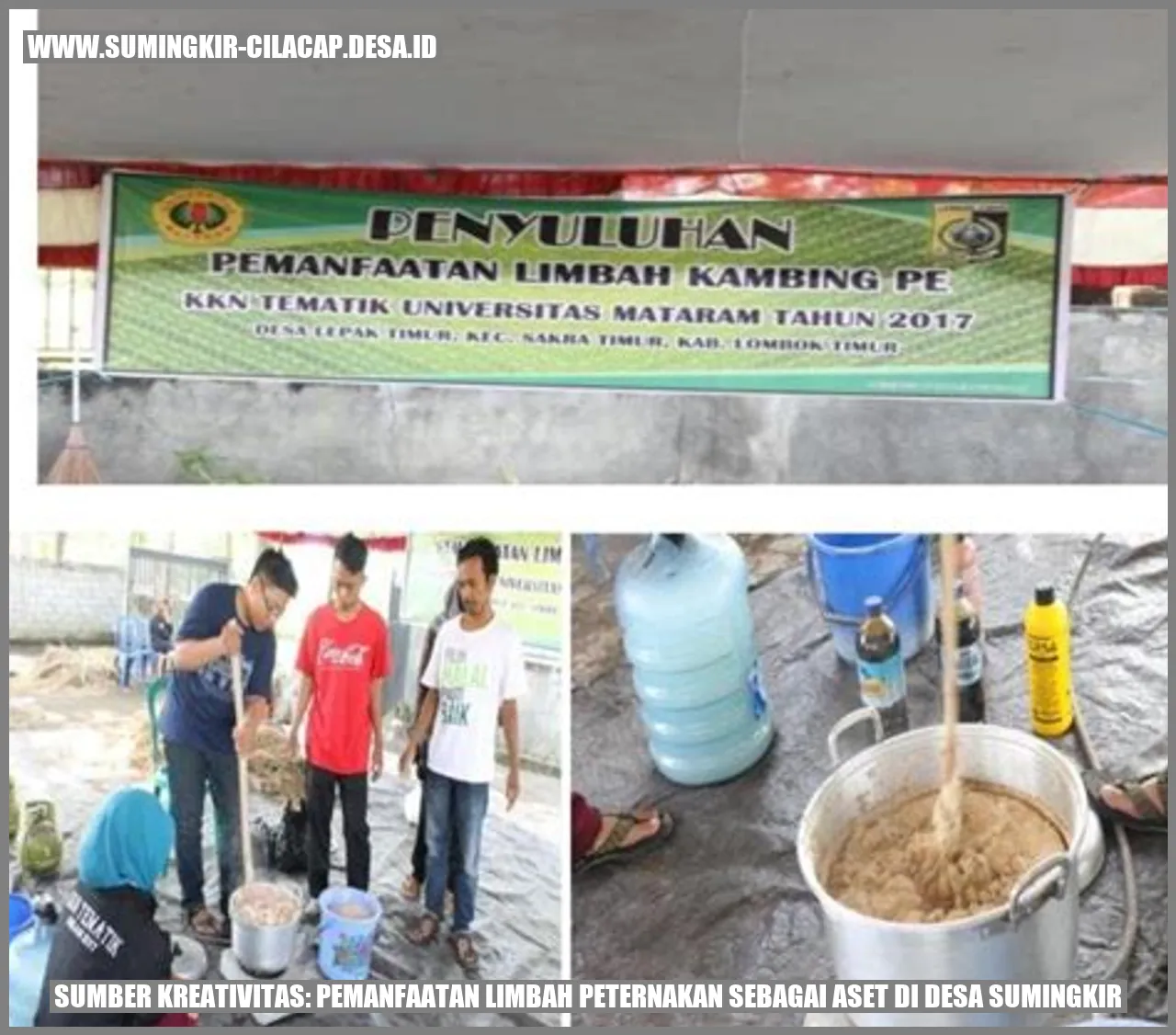Sumber Kreativitas: Pemanfaatan Limbah Peternakan sebagai Aset di Desa Sumingkir